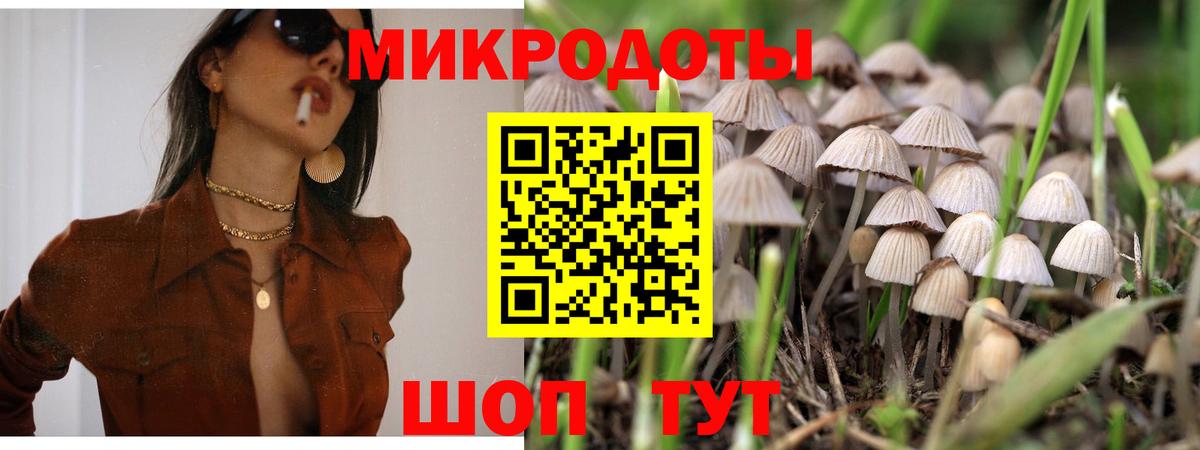 Красноперекопск  Псилоцибиновые грибы Psilocybine cubensis  Вход с VPN 