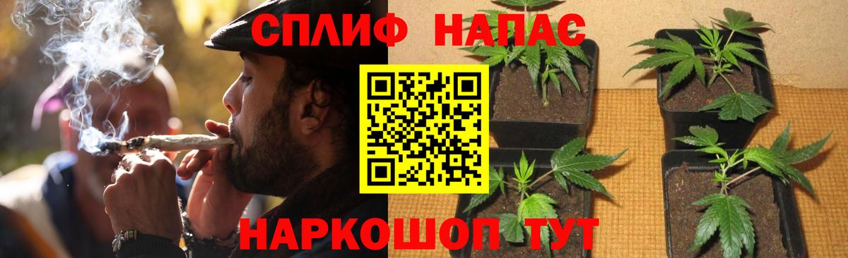 Бошки Шишки план Красноперекопск